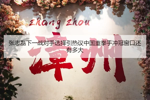 张志磊下一战对手选择引热议中国重拳手冲冠窗口还有多大